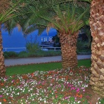 travel___Three Palmas___Opatija, Croatia.