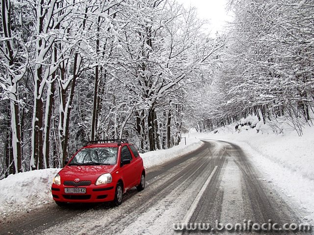 travel___Toy___Gorski Kotar, Croatia.