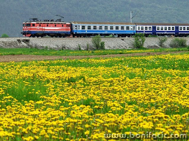 travel___Train___Ogulin, Croatia.