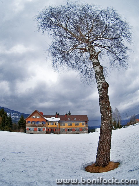 travel___Tree Hotel___Jasenak, Croatia.