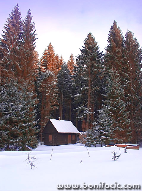 travel___Under The Wing Of Wood___Sunger, Croatia.