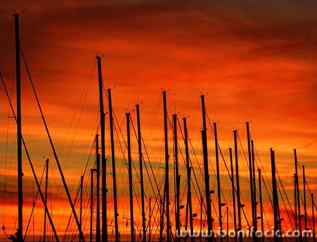 travel___Wood On Fire___Punat, Croatia.