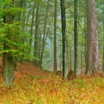 nature___Admittance___Fuzine, Croatia.