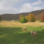nature___Antistress___Begovo Razdolje, Croatia.
