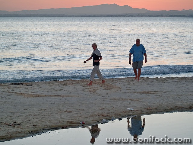nature___Beach Walk___Hammamet, Tunisia.