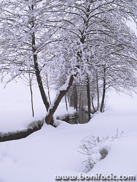 nature___Beck___Cakovac, Croatia.