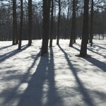 nature___Big Foots___Fuzine, Croatia.