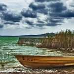 nature___Bird Reservation___Vransko Jezero, Croatia.