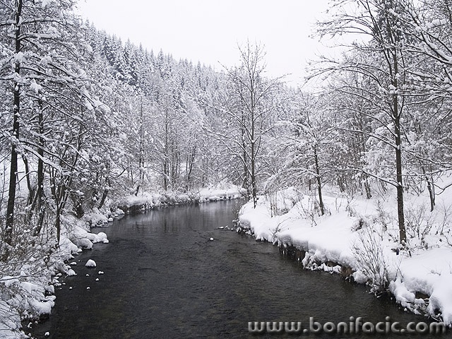 nature___Behind Curve___Luke, Croatia.
