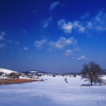 nature___Blue Sky___Carevo Polje, Croatia.