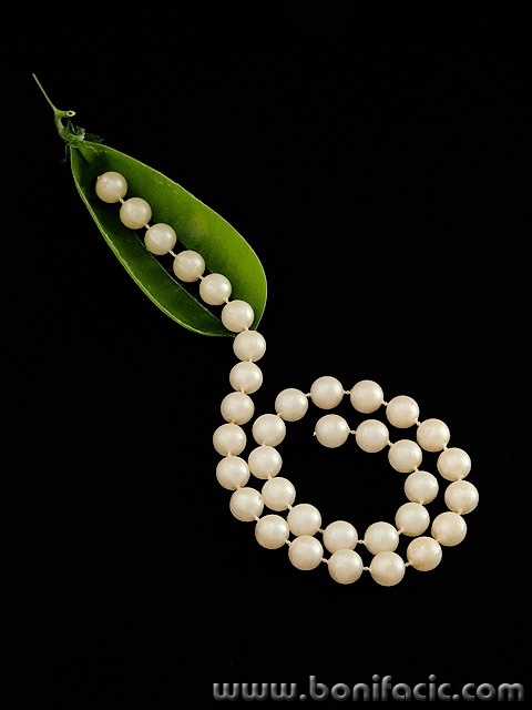 macro___Magical Pea___