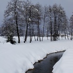 nature___Bourn___Josipdol, Croatia.