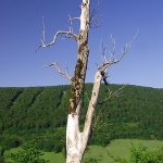 nature___Breathlessly___Zuta Lokva, Croatia.