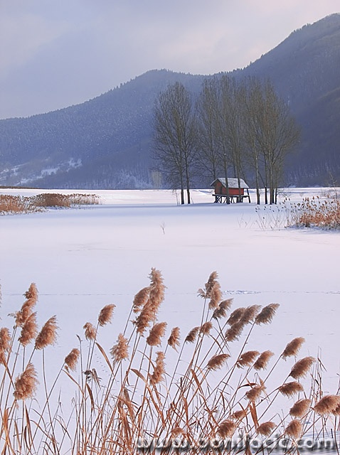 nature___Brumal___Svica, Croatia.