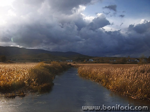 nature___Clash___Plaski, Croatia.
