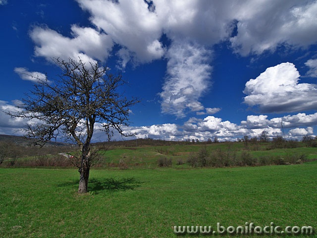 nature___Cloud Master___Kordun, Croatia.