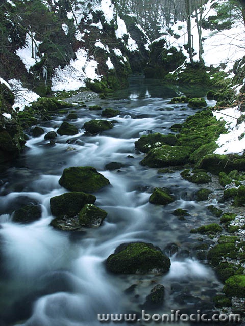 nature___Cold Creek___Kamacnik, Croatia.