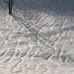 nature___Crease___Gorski Kotar, Croatia.