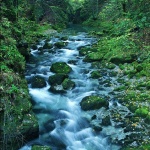 nature___Creek___Kamacnik, Croatia.