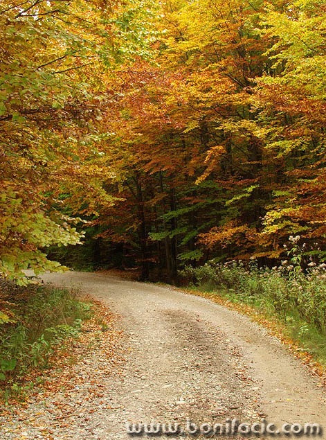 nature___Curve___Fuzine, Croatia.