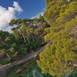 nature___Dead Sea___Lokrum, Croatia.