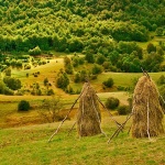 nature___Demulcent___Kuterevo, Croatia.