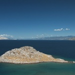 nature___Dolphin___St.Juraj, Croatia.