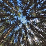 nature___Dorsal View___Golubinjak, Croatia.