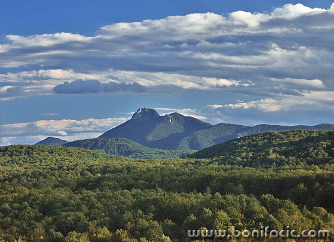 nature___Dominance___Bosiljevo, Croatia,