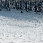nature___Dunes___Gorski Kotar, Croatia.