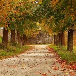nature___Early Autumn___Modrus, Crioatia.