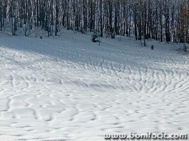 nature___Dunes___Gorski Kotar, Croatia.