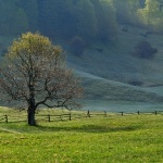 nature___Early Morning___Kikovica, Croatia.