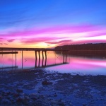 nature___Ebb___Punat, Croatia.