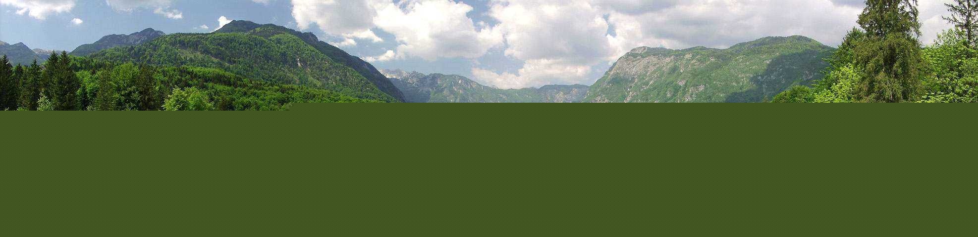 panorama___From The Bridge___Bohinj, Slovenia.