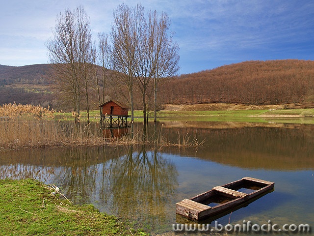 nature___Early Spring___Svica, Croatia.