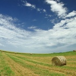 nature___Face Of The Country___Osijek, Croatia.