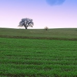 nature___Father & Son___Brinje, Croatia.
