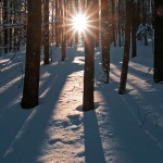 nature___Faun___Mrzla Vodica, Croatia.