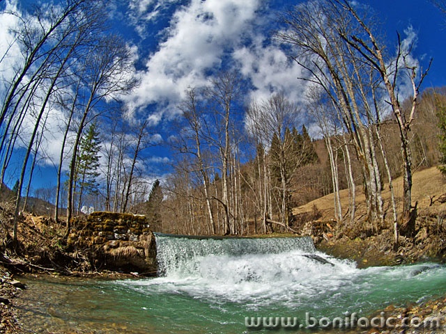 nature___Falling Fall___Cabar, Croatia.