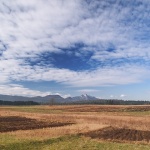 nature___Fields___Ogulin, Croatia.