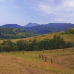 nature___Finished Stacks___Gomirje, Croatia.