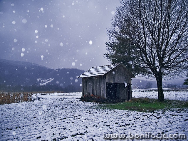 nature___First Snow Flakes___Ogulin, Croatia.
