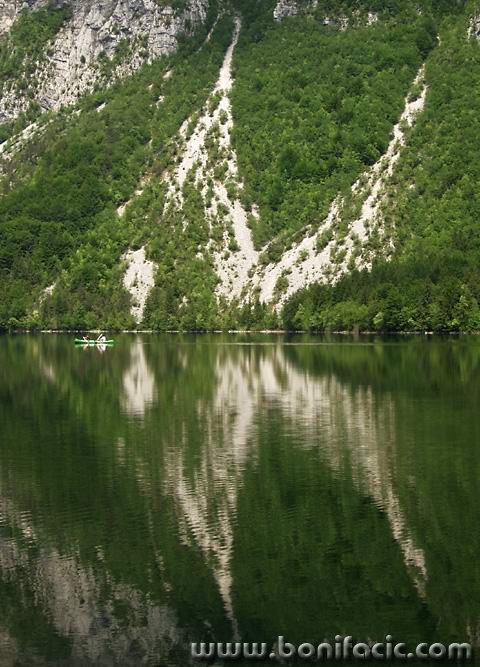 nature___Fish___Bohinj, Slovenia.
