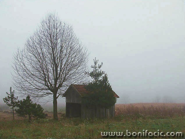 nature___Fog___Ogulin, Croatia.