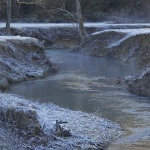 nature___Frost___Motovun, Croatia.