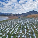 nature___Frozen Grooves___Svica, Croatia.