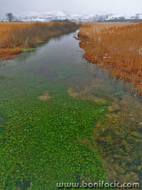 nature___From The Bridge___Plaski, Croatia.