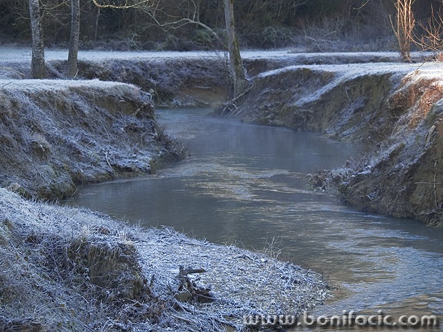 nature___Frost___Motovun, Croatia.
