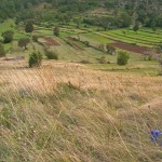 nature___Gardens___Razbojiste, Croatia.